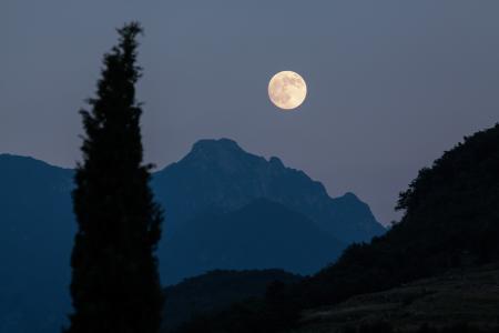 月亮, 柏树, 山脉, 月亮升起, 满月, 浪漫, 晚上
