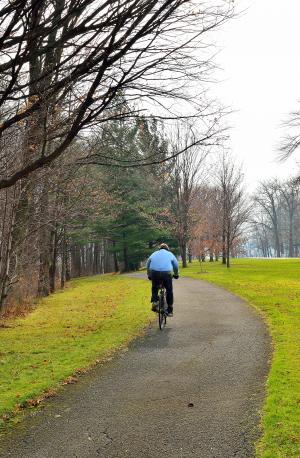 通路, 冬天, 景观, 路径, 跟踪, 自行车, 自行车
