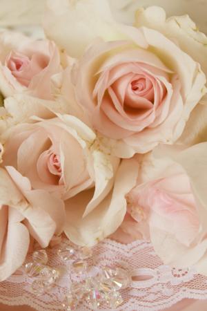 粉红玫瑰, 珠子, 背景, 嬉戏, 浪漫, 婚礼, 订婚