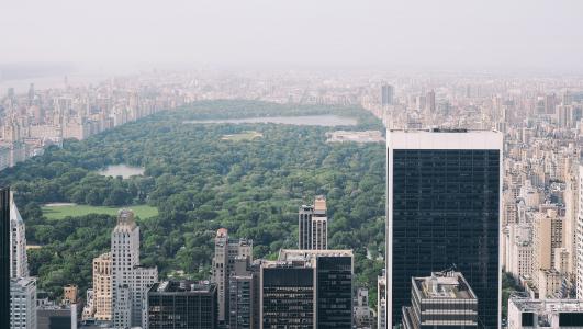 中央公园, 纽约, 纽约, 曼哈顿, 纽约城, 朦朦胧胧, 阴霾
