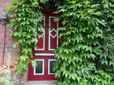 入口大门, 常春藤, 绿色, 红色, 首页, 建筑, 墙-建筑特征