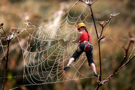 攀爬, 爬上, 蜘蛛网, 无, 登山家, 绳索到