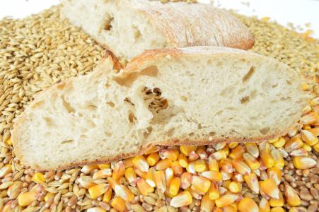 面包, 谷物, 小麦