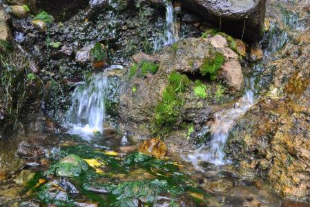 水, 自然, 瀑布, 景观, 河, 哥伦比亚, 生态学