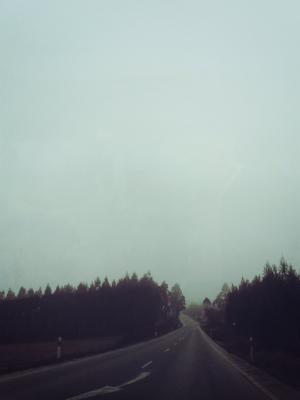曲线, 雾, 有雾, 森林, 阴霾, 道路, 街道