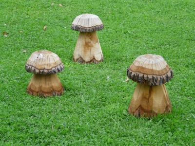 蘑菇, 木材, 草甸, 草, 雕刻