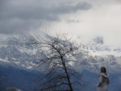 景观, 山, 瑞士, 自然, 雪, 全景, 树木