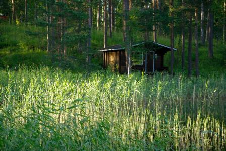 芬兰, 木屋, 芦苇, 森林湖, 自然, 森林, 树