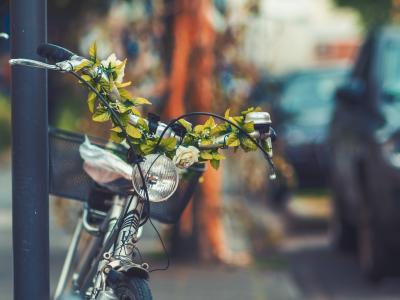 自行车, 自行车, 购物篮, 街道, 模糊, 绿色, 植物