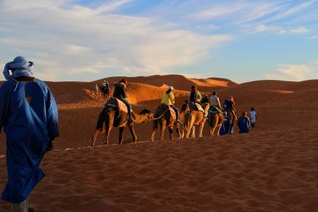 旅行, 冒险, 骆驼大篷车, 撒哈拉沙漠, 金沙, 旅行, 摩洛哥