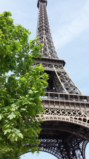 埃菲尔铁塔, 巴黎, 树, 空气, 塔