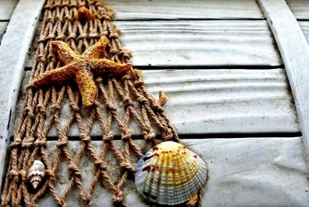 海事, 框, 木材, 海星, 壳, 渔网, 棺材