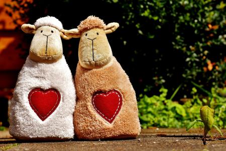 羊, 爱, 心, 情人节那天, 可爱, 在一起, 有趣