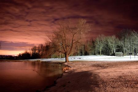 湖, 树, 冬天, 雪, 红色, 光, 晚上