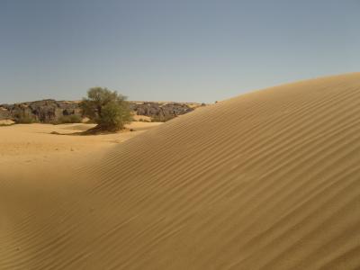 沙漠, 阿尔及利亚, 撒哈拉沙漠, 沙子, 沙丘, djanet