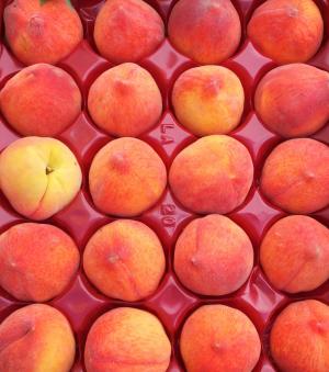 桃子, 背景, 水果, 桃子, 市场, 框, 显示