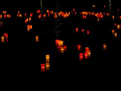 灯, 蜡烛, 漂浮着蜡烛, 灯的节日, 灯小夜曲, 乌尔姆, 红色