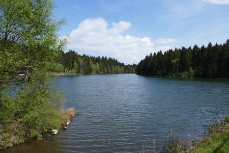 grumbach 池塘, hahnenklee, 池塘, 湖, 水, 森林, 自然