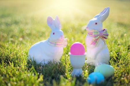 复活节, 复活节的兔子, 兔, 复活节彩蛋, 多彩, 草, 假日