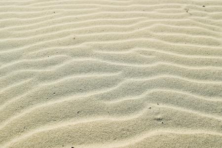 沙子, 波, 海滩, 沙丘, 背景, 全帧, 波及