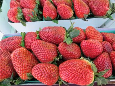 草莓, 水果, 红色, 草莓, 食品, 浆果, 健康