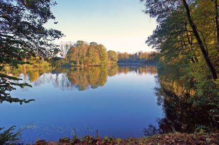 湖, 秋天, 自然, 镜像, 树木