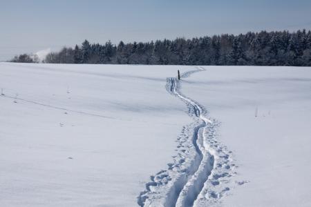跟踪, 越野滑雪, 滑雪跑道, 棍棒, 白雪皑皑, 雪车道, 冬天