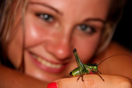 蚱蜢, 甲虫, 绿色, 昆虫, 女孩, 友谊, 一种动物