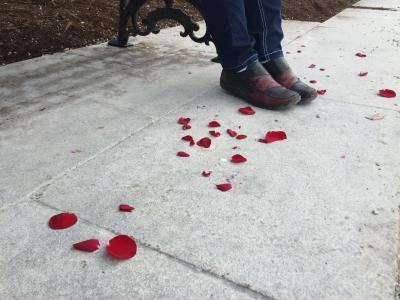 红玫瑰, 红色的花瓣, 花瓣, 鞋子, 公园, 混凝土, 红色