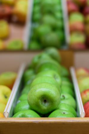 苹果, 水果, 秋天, 苹果, 果园, 绿色, 市场