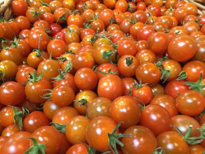 西红柿, 樱桃番茄, 有机, 新鲜, 红色, 成熟, 食品