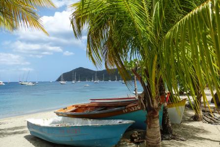 加勒比海, 小船, 棕榈, 海滩, 海, 蓝色, 沙子