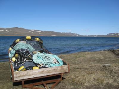 冰岛, prihynings 湖, 跟踪, 捕鱼