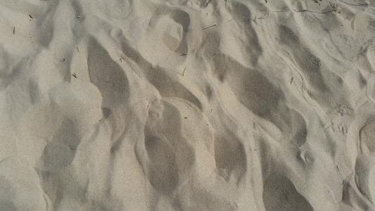 沙子, 沙丘, 背景, 荷兰, 海沙
