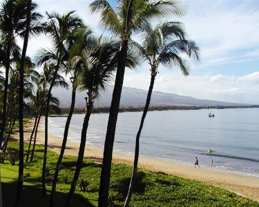 海滩, 棕榈树, 黑, 毛伊岛, 夏威夷, 海洋, 太平洋