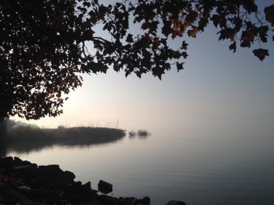 日出, 秋天, 巴拉顿湖