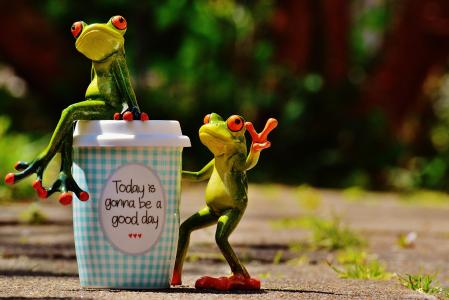 美好的一天, 快乐, 青蛙, 咖啡, 杯, 快乐, 幸福