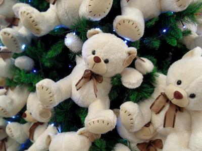 熊幼崽, 圣诞节, 熊, 树, 动物