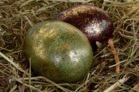 复活节彩蛋, 复活节, 鸡蛋, 装饰, 复活节装饰, 复活节快乐, 绿色