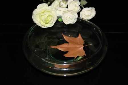 壳, herbsblatt, 贝壳, 叶, 板料在水中, 秋天的树叶, 的工作表