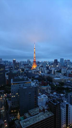 东京塔, 夜景, 城市