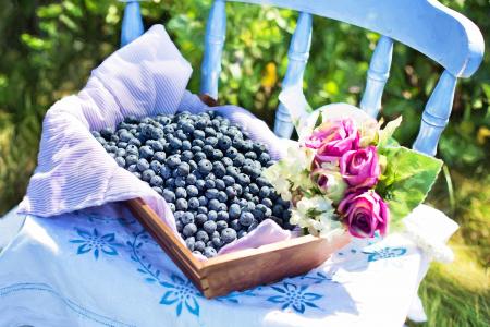 蓝莓, 夏季, 水果, 健康, 新鲜, 甜, 有机