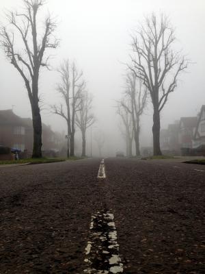 街道, 道路, 有雾, 路径, 通道, 退出, 城市