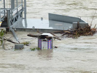 高水, 垃圾桶, 银行, 多瑙河, 银行的多瑙河, 被淹, 自然灾难