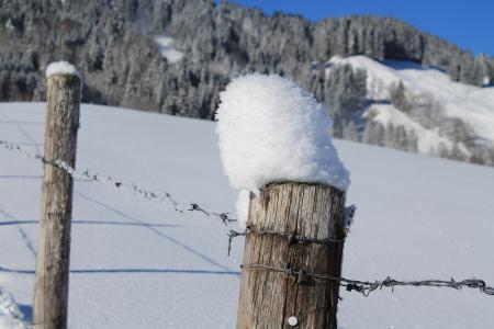 桩, 冬天的心情, 带刺的铁丝网, 雪, 栅栏, 裸有线, 冬天