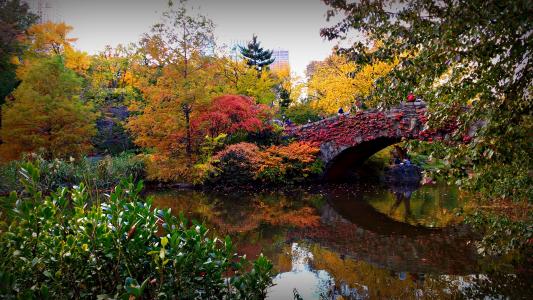 桥梁, 纽约, 美国, 中央公园, 秋天, 秋天, 反思