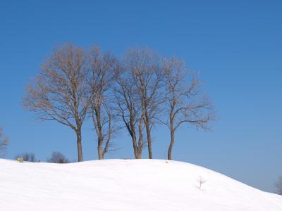 山脉, 雪, 树, 自然, 冬天, 赛季, 白色