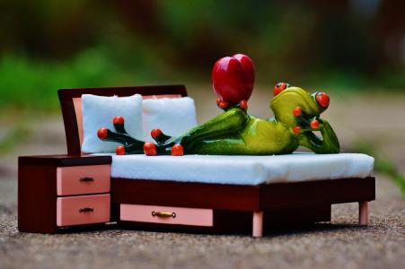 青蛙, 爱, 床上, 床头桌, 心, 图, 有趣