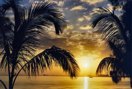 迈阿密, 日落, 加勒比海