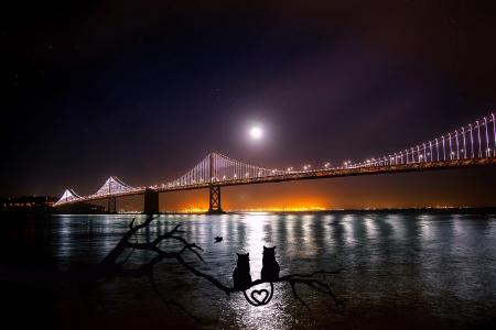 三藩市, 奥克兰, 海湾的桥, 水, 几点思考, 月亮, 月光